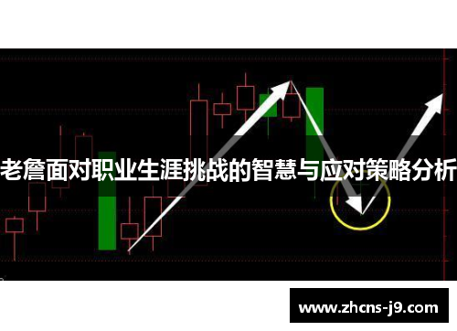 老詹面对职业生涯挑战的智慧与应对策略分析 老詹面对职业生涯挑战的智慧与应对策略分析
